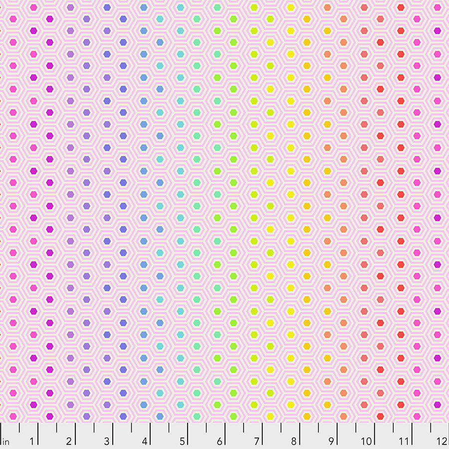 Hexy Rainbow - Shell || Tula's True Colors